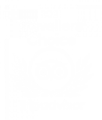 Trip-Advisor-Travellers-Choice-255x300-1